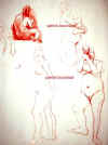 croquisnu-f.jpg (26153 octets)